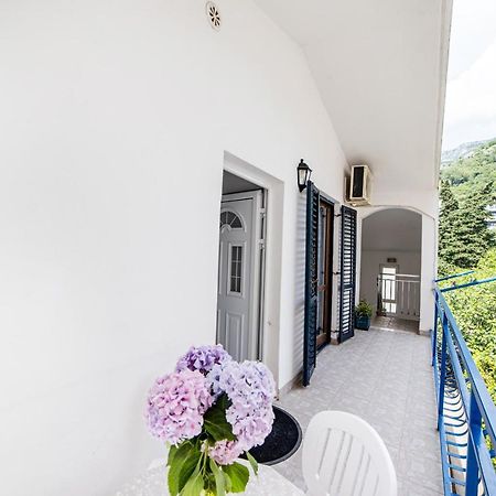 Apartments Vila Nikolic Rafajlovići Exterior photo